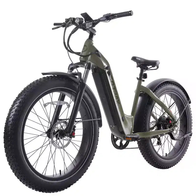 GOTRAX Fat-Tire-Elektro-Hybridfahrrad für Erwachsene, 26 Zoll, Tiefeinstieg – Grün